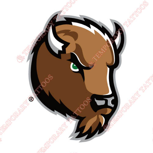 Marshall Thundering Herd Customize Temporary Tattoos Stickers NO.4977
